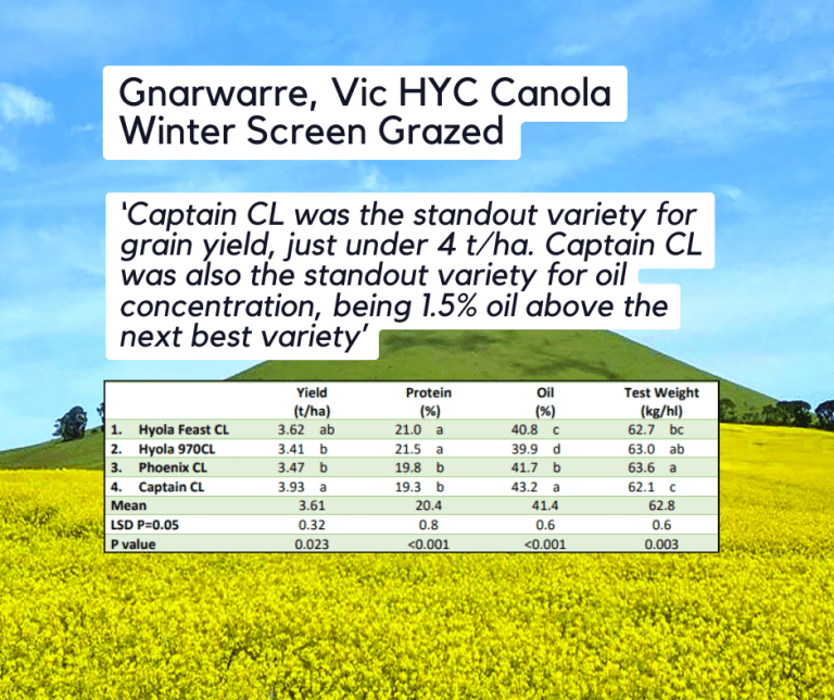 Gnarwarre Grazed